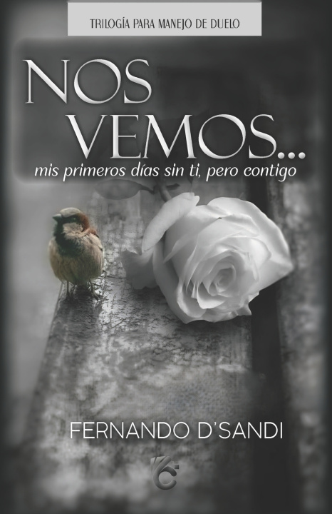 Kniha NOS VEMOS Fernando D´Sandi