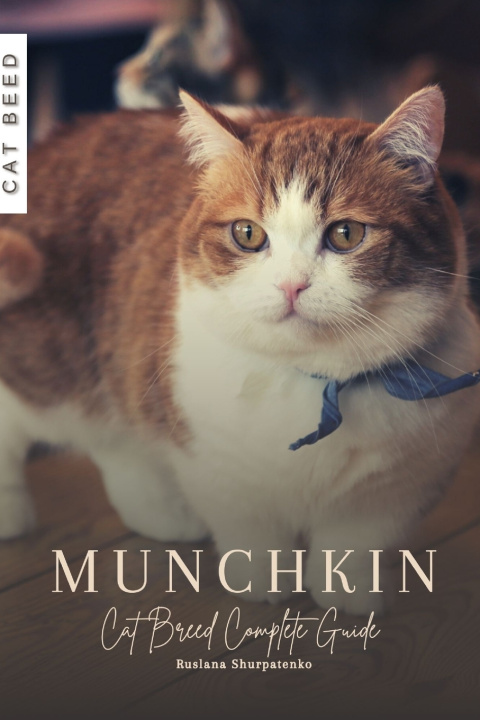 Knjiga Munchkin Ruslana Shurpatenko