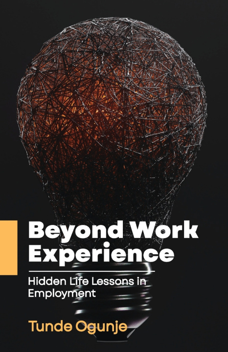 Kniha Beyond Work Experience Tunde Ogunje