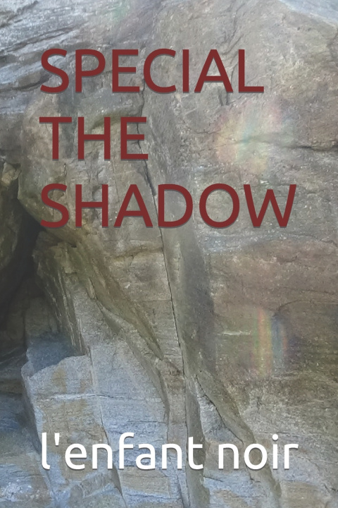 Kniha SPECIAL THE SHADOW l'enfant noir