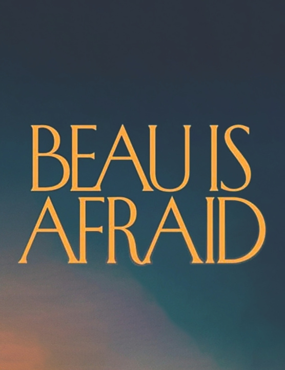 Kniha Beau is Afraid Michael Evans