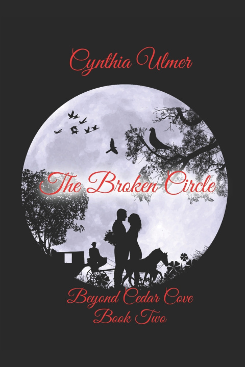 Knjiga The Broken Circle Cynthia Ulmer
