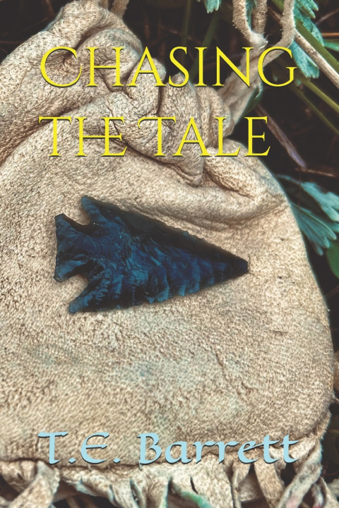 Kniha Chasing the Tale T.E. Barrett