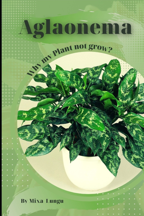 Boek Aglaonema Mixa Lungu
