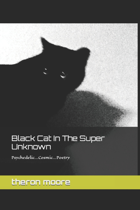 Kniha Black Cat In The Super Unknown Todd Moore