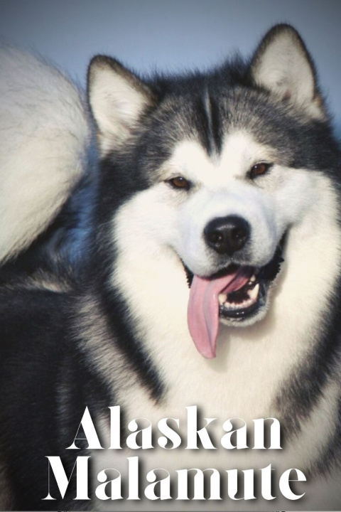 Buch Alaskan Malamute Nina Pustova