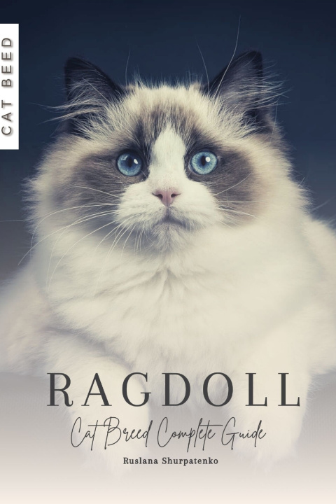 Kniha Ragdoll Ruslana Shurpatenko