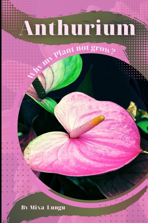 Kniha Anthurium Mixa Lungu