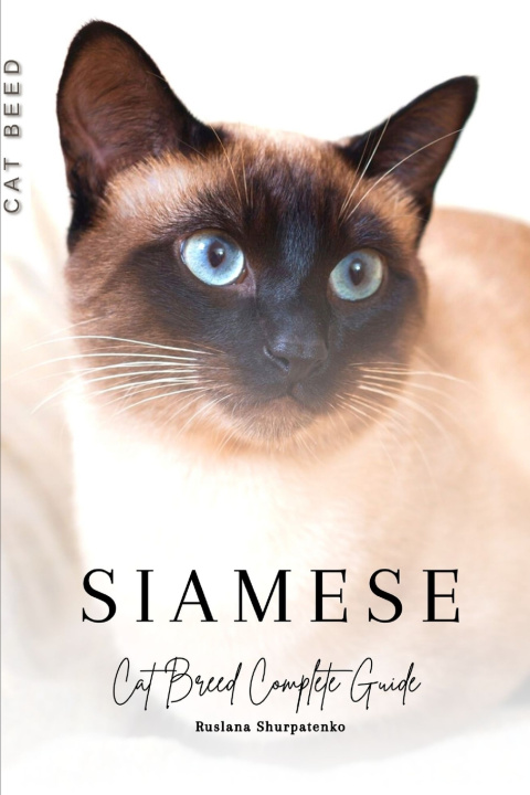 Kniha Siamese Ruslana Shurpatenko