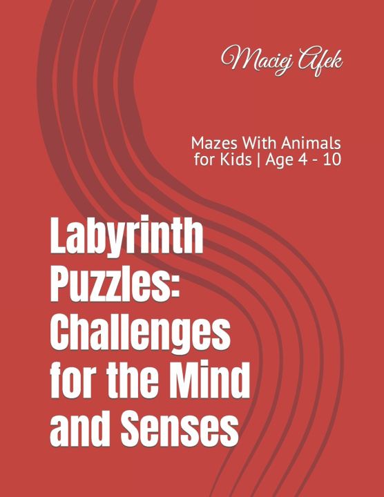 Kniha Labyrinth Puzzles Maciej Afek