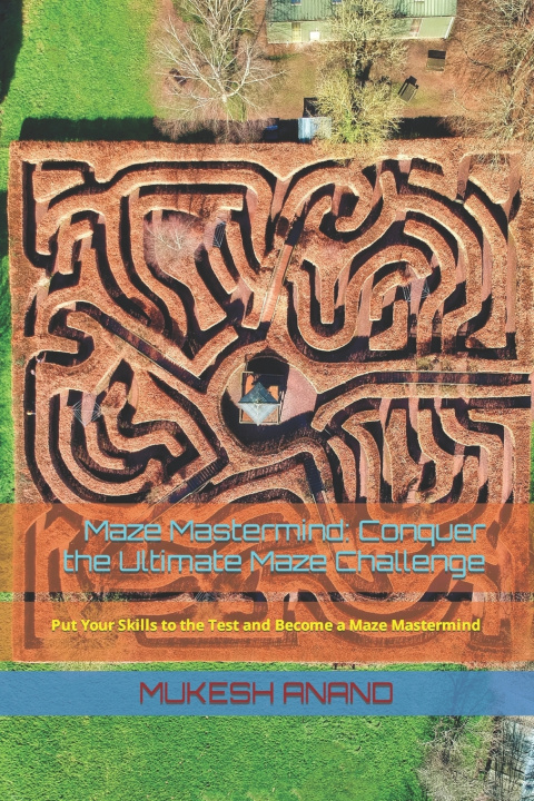 Kniha Maze Mastermind MUKESH ANAND