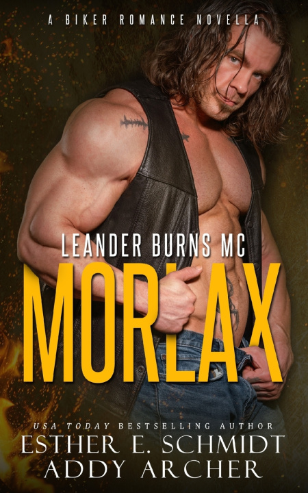 Boek Leander Burns MC Esther E. Schmidt