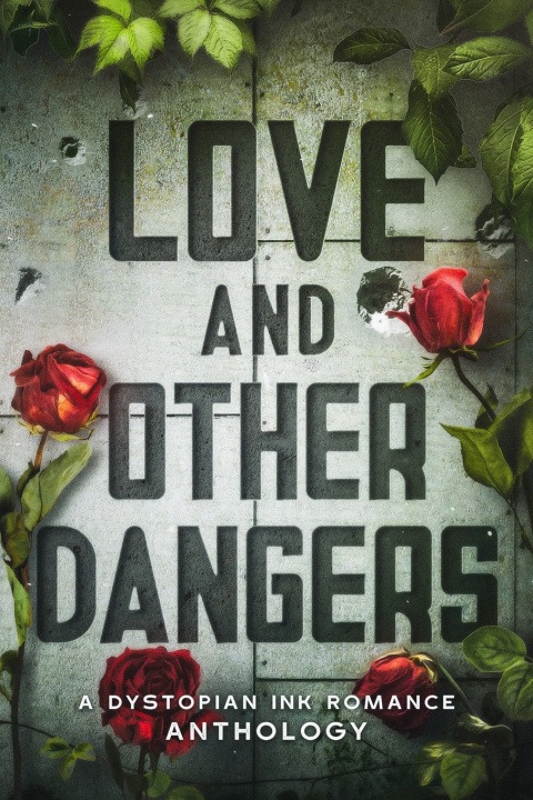 Kniha Love and Other Dangers Audrey M. Stevens