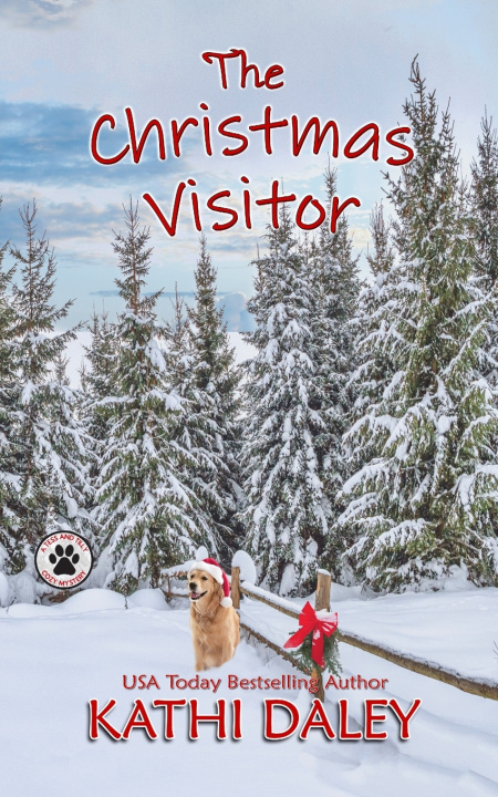 Kniha The Christmas Visitor Kathi Daley