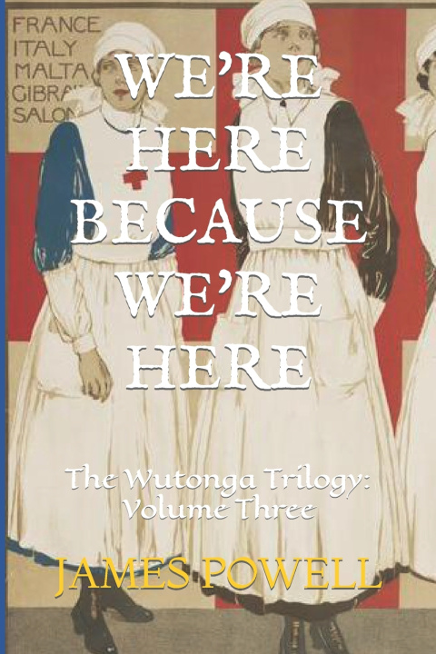 Buch WE'RE HERE BECAUSE WE'RE HERE James Powell