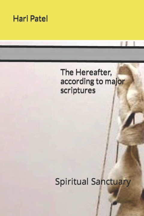 Boek The Hereafter, according to major scriptures Hari Patel