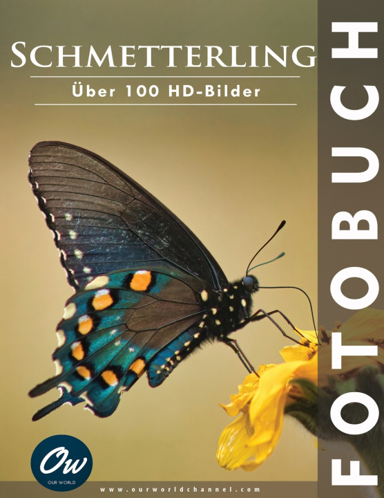 Kniha Schmetterling A Arelt