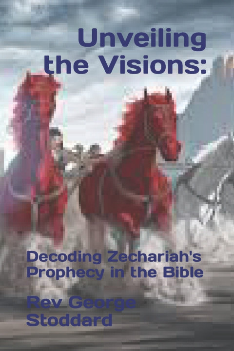 Knjiga Unveiling the Visions Rev George Stoddard