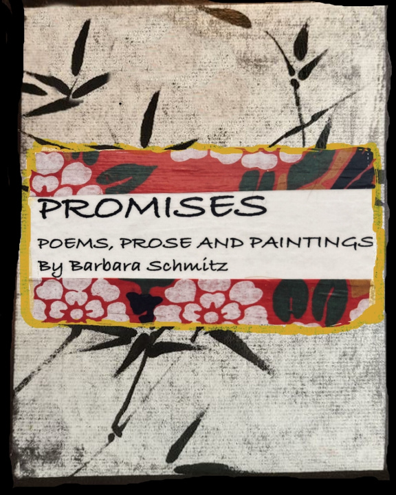 Kniha PROMISES Barbara Schmitz