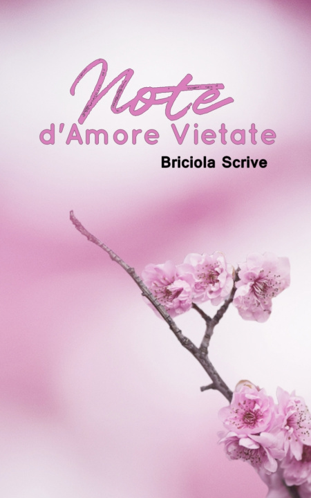 Kniha Note d'amore vietate Briciola Scrive