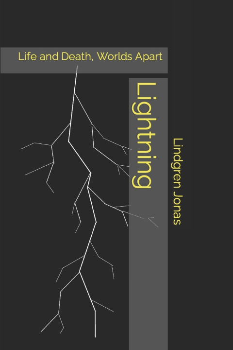 Knjiga Lightning Lindgren Jonas
