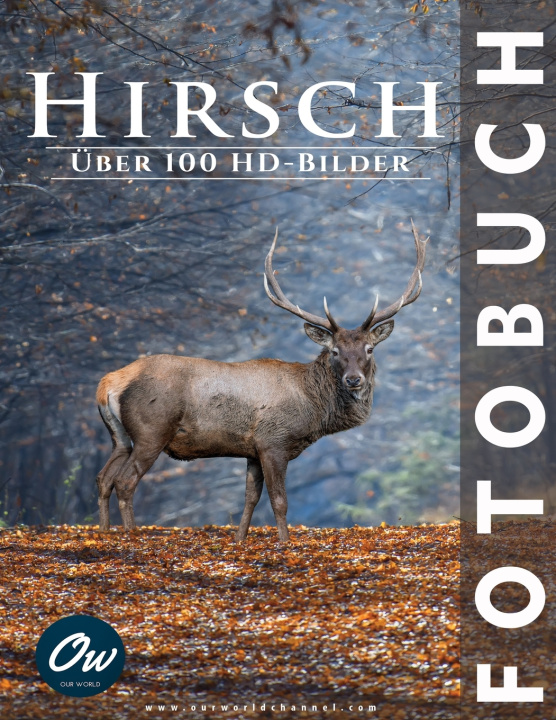 Kniha Hirsch A Arelt