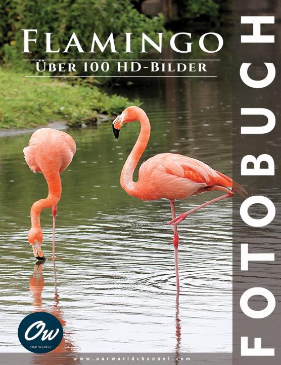 Kniha Flamingo A Arelt