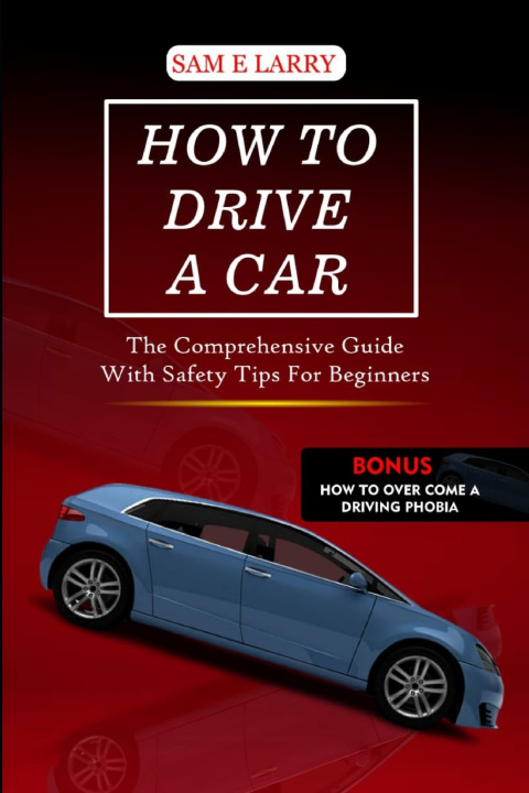 Book HOW TO DRIVE A CAR Sam E Larry