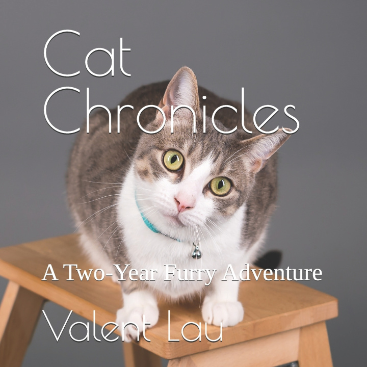 Kniha Cat Chronicles Valent Lau