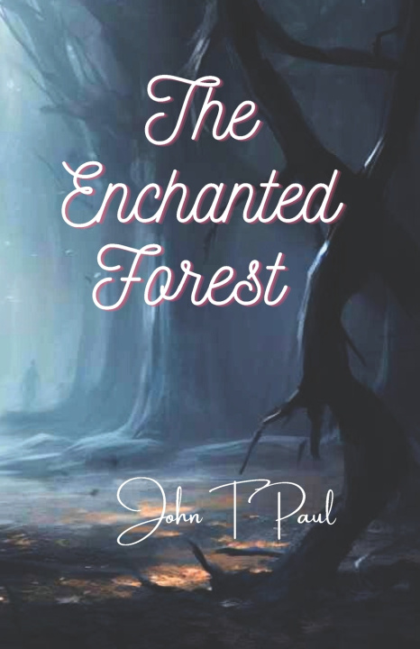 Kniha The Enchanted Forest John T Paul