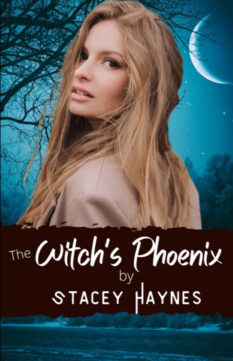 Kniha The Witch's Phoenix Stacey Haynes