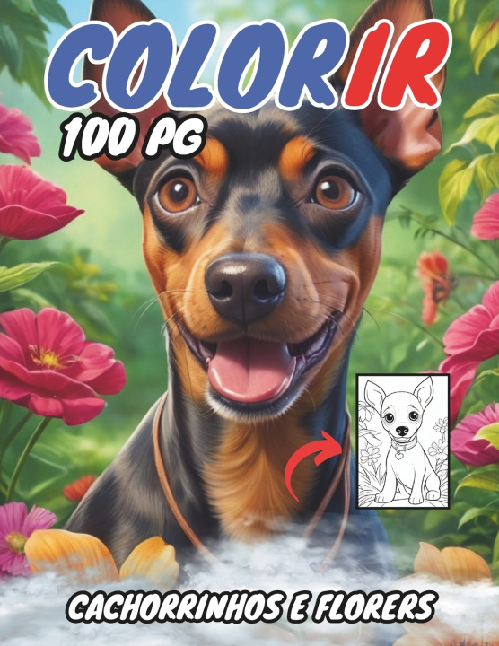 Book Colorir 100 PG Zyan Rousse