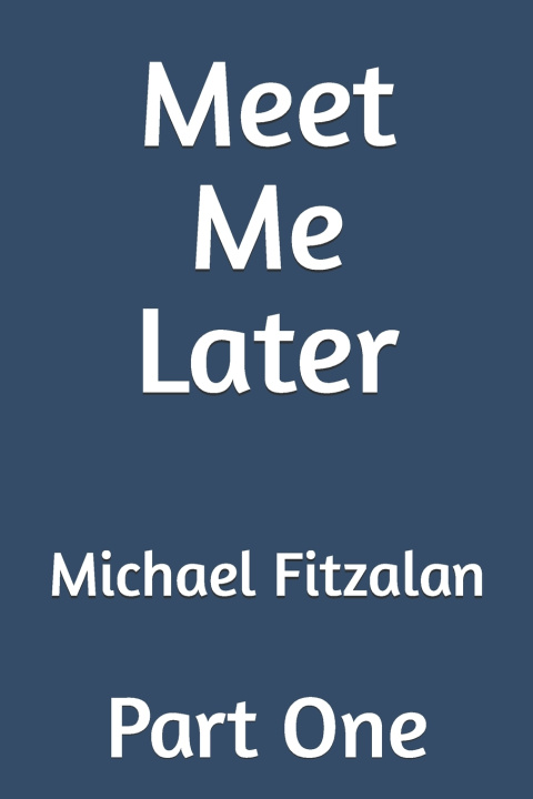 Boek Meet Me Later Michael Fitzalan