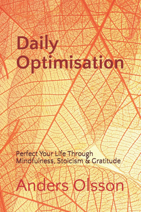 Kniha Daily Optimisation Anders Olsson