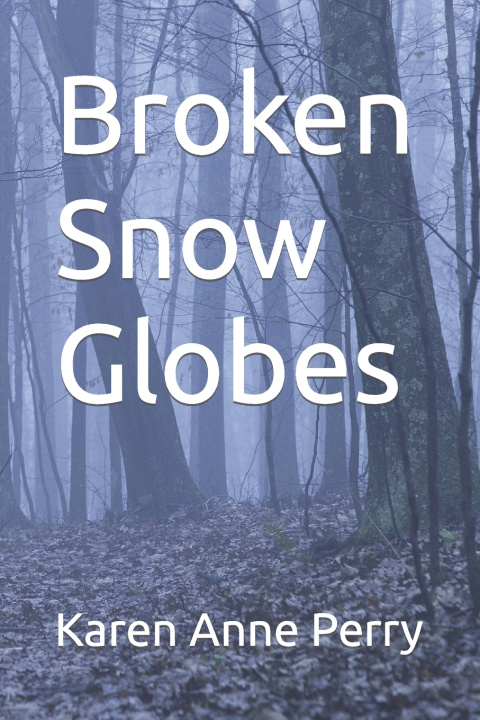 Knjiga Broken Snow Globes Karen Anne Perry