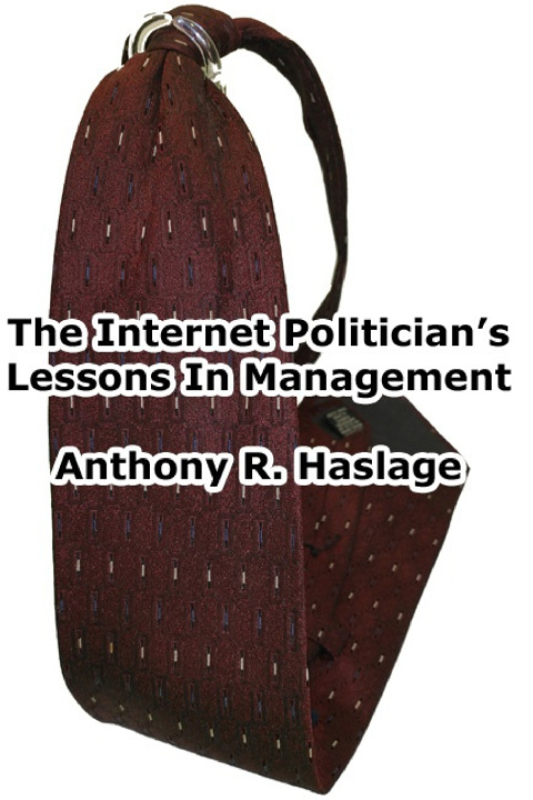 Knjiga Lessons In Management Anthony Haslage