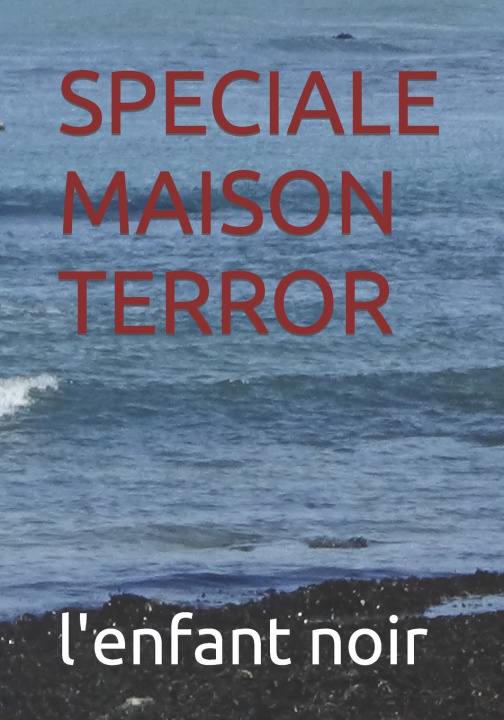 Kniha SPECIALE MAISON TERROR l'enfant noir