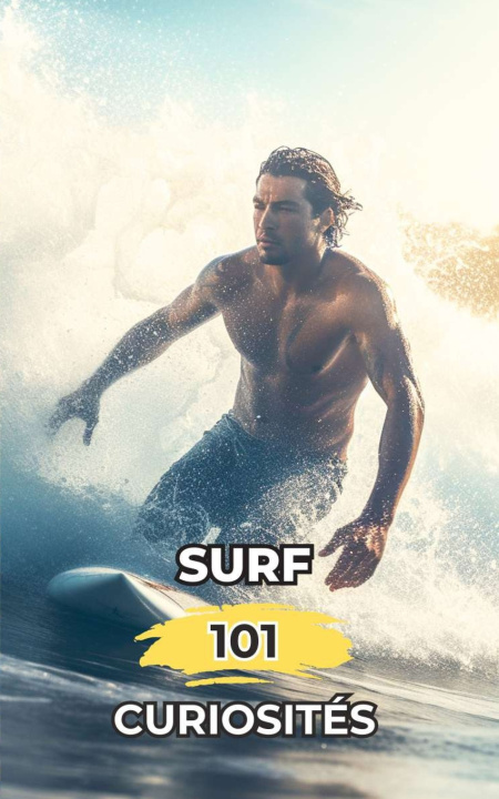 Kniha Surf 101 Curiosités VC Brothers