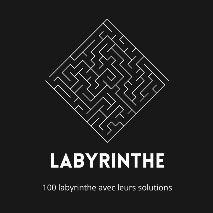 Kniha Labyrinthe med amine