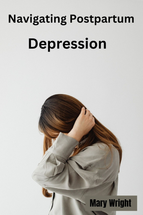 Knjiga Navigating Postpartum Depression Mary Wright