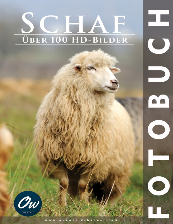 Book Schaf A Arelt