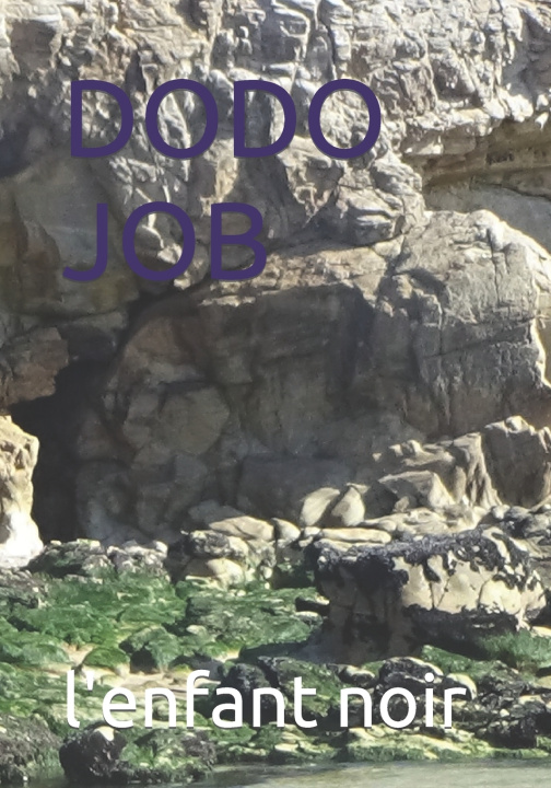 Book DODO JOB l'enfant noir