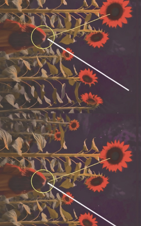 Book The Red Sunflowers Michelle Skeleton