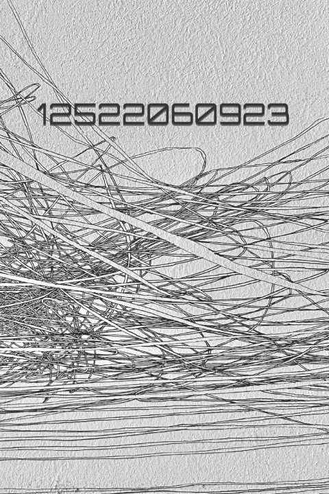 Knjiga 12522060923 S. L. Habermeyer