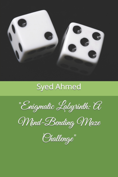 Kniha "Enigmatic Labyrinth Syed Ahmed
