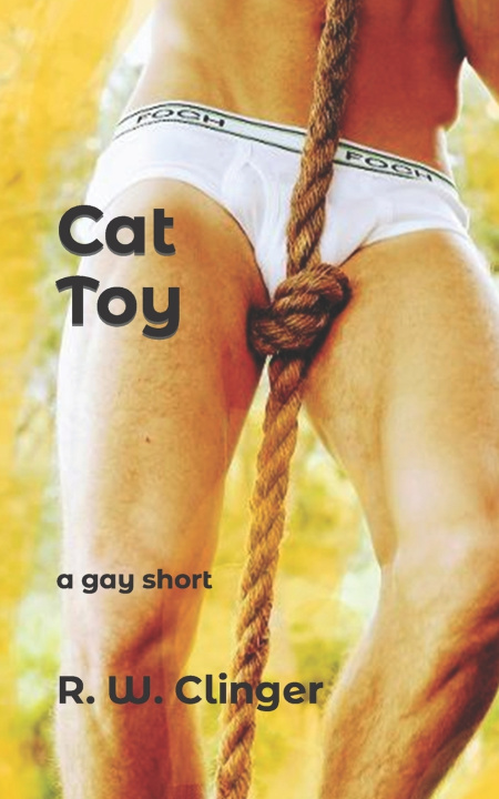 Kniha Cat Toy R. W. Clinger