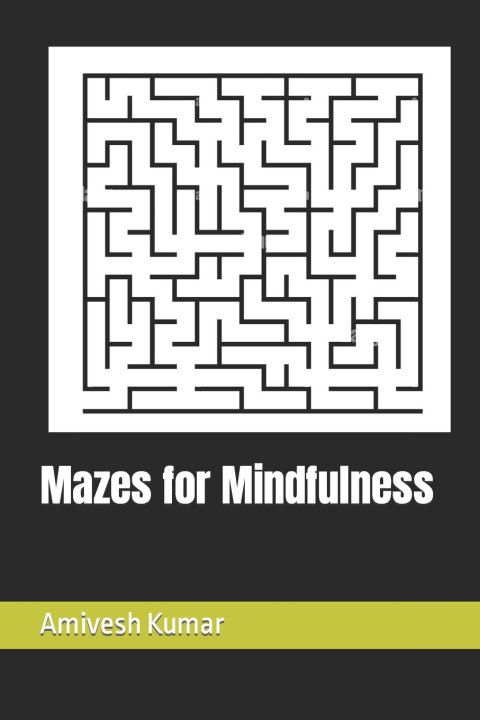 Knjiga Mazes for Mindfulness Amivesh Kumar