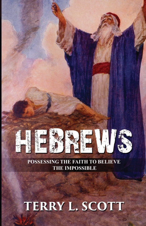 Kniha HEBREWS TERRY L SCOTT