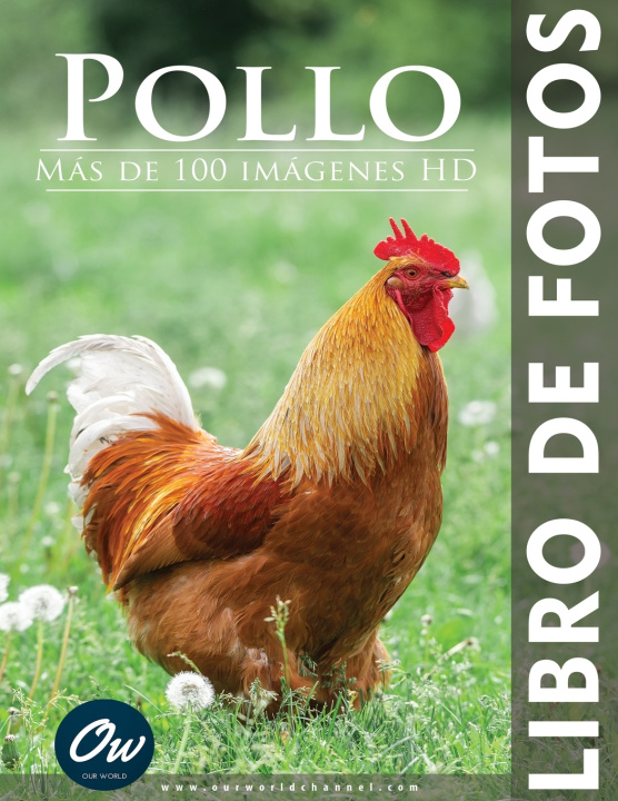 Kniha Pollo A Arelt
