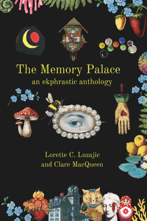 Kniha The Memory Palace Clare MacQueen